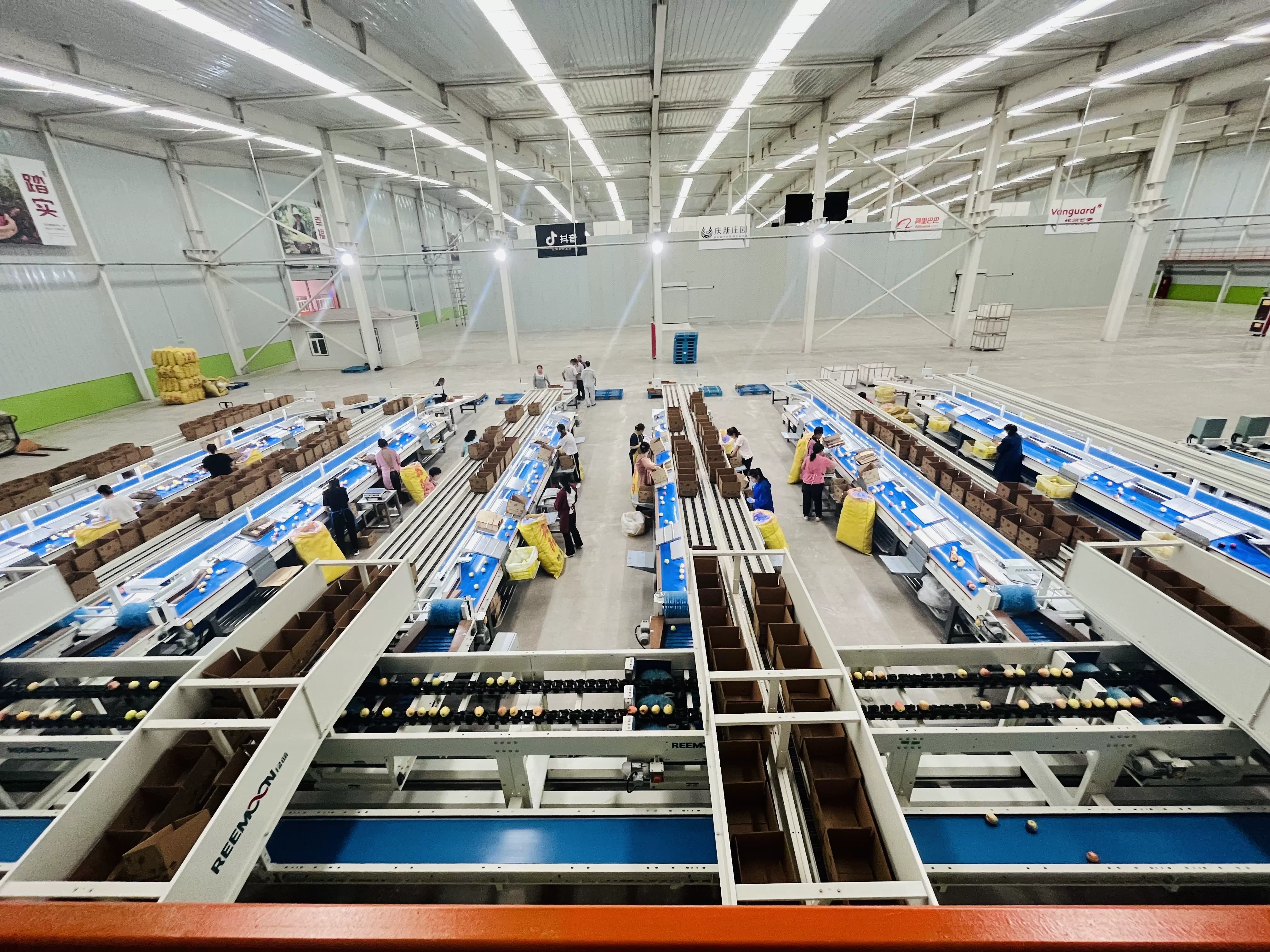 Công ty TNHH Thương mại điện tử Gansu Xinqin