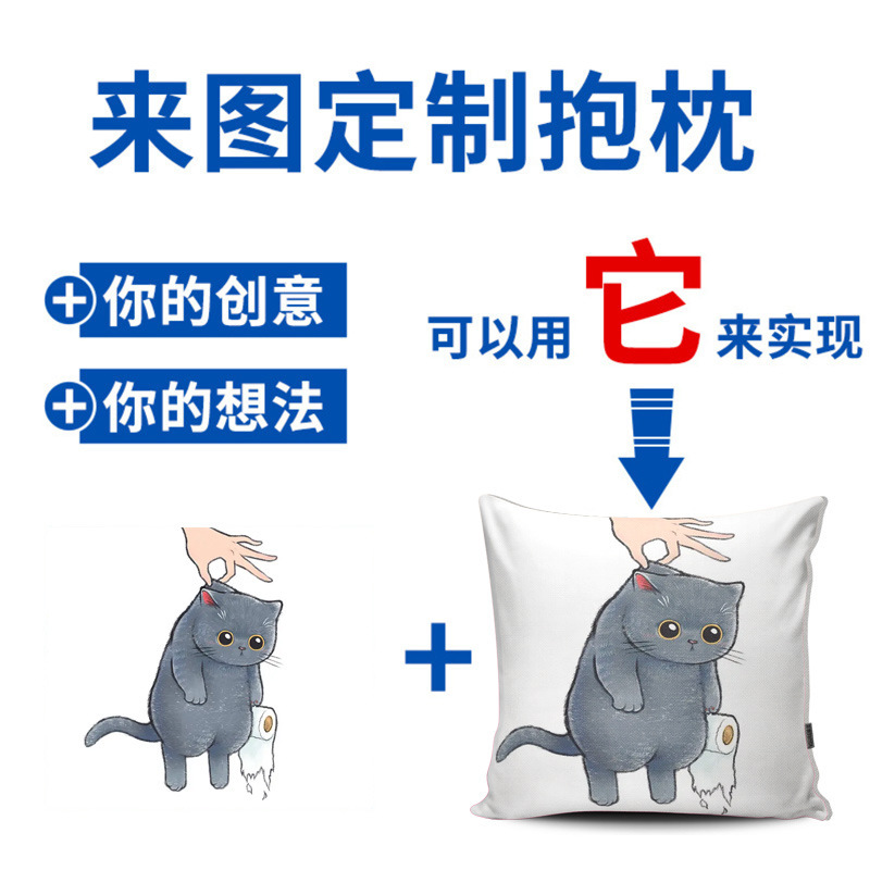 Hangzhou's pillowcase, Snow's super-sweeter, custom-made sofas, designed to customize foreign trade.
