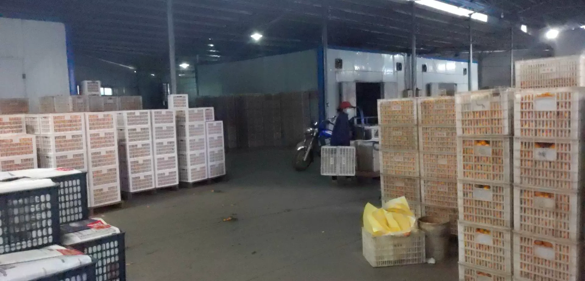 Công ty TNHH Ichigo Industries (Sandong)