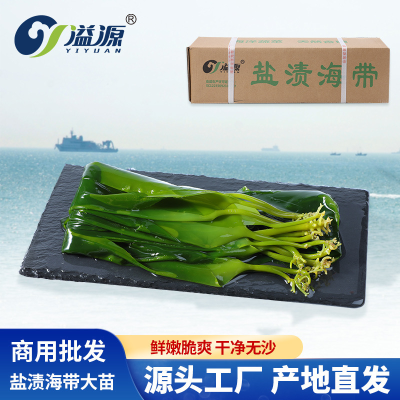 Những nhánh biển muối có 20 ký-lô của những chồi non không được phơi khô.