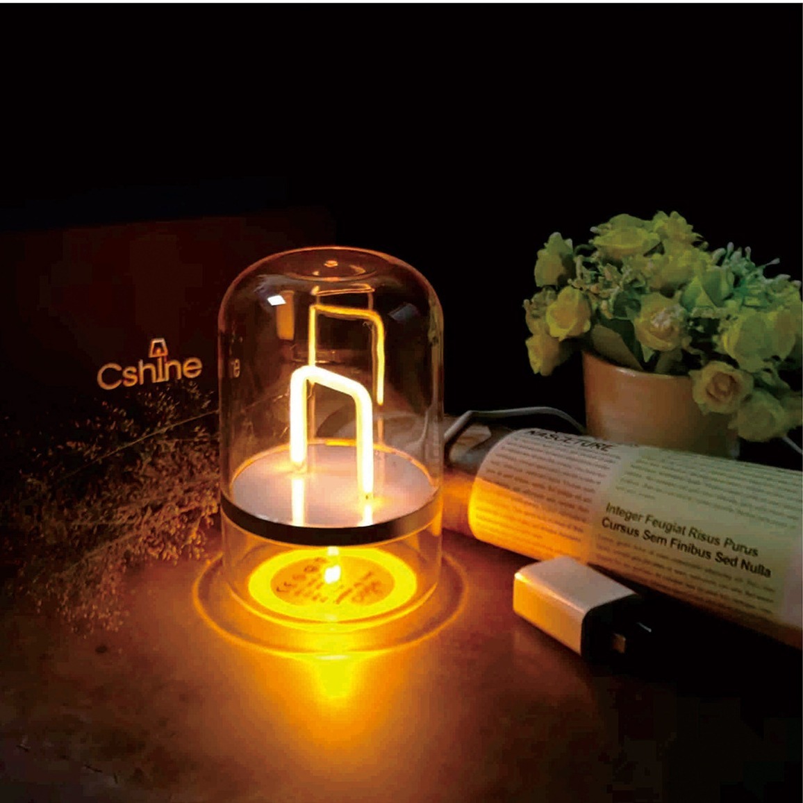 Cshine's smart table lamp 520 is a remote gift to the couple's bedroom.