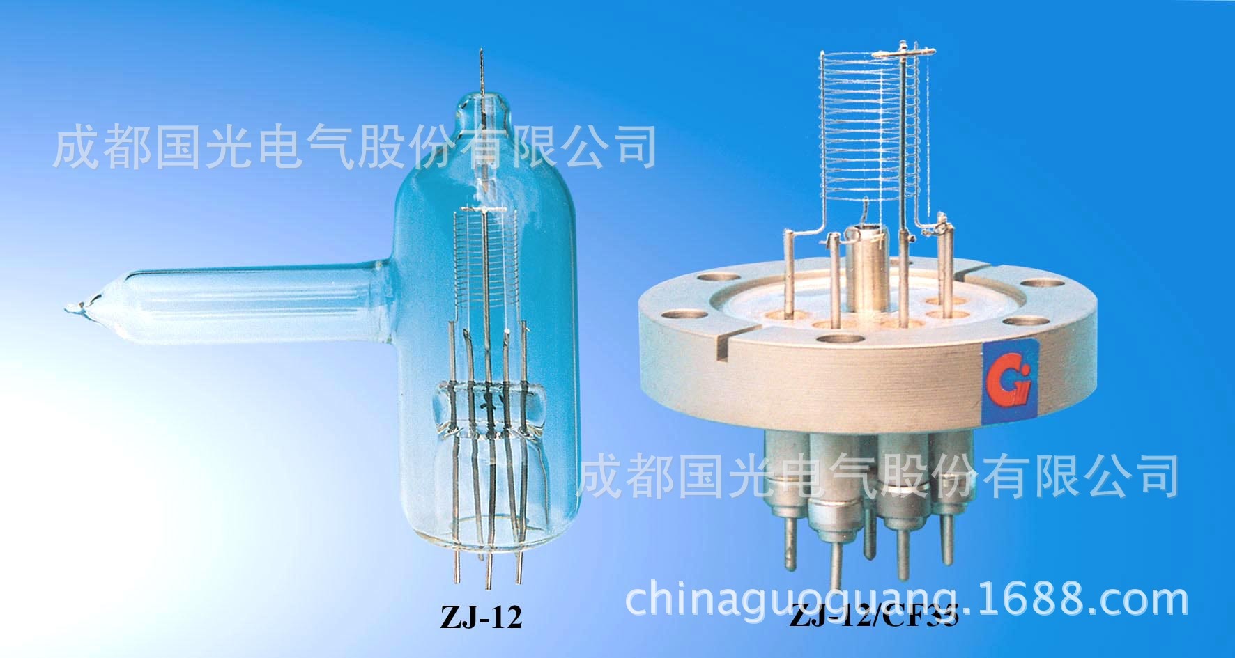 真空規管 ZJ-12超高真空熱陰極電離規 真空計真空規管 廠家直銷