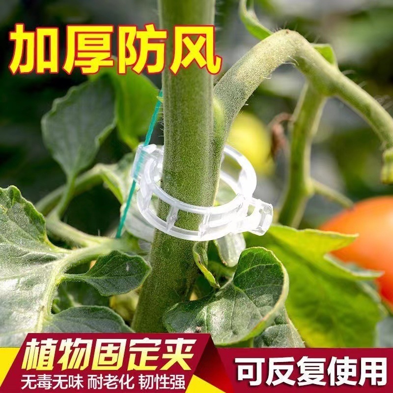 蔓藤固定器吊秧苗葡萄枝种菜架子植物豆角攀藤网固定卡扣番茄神器