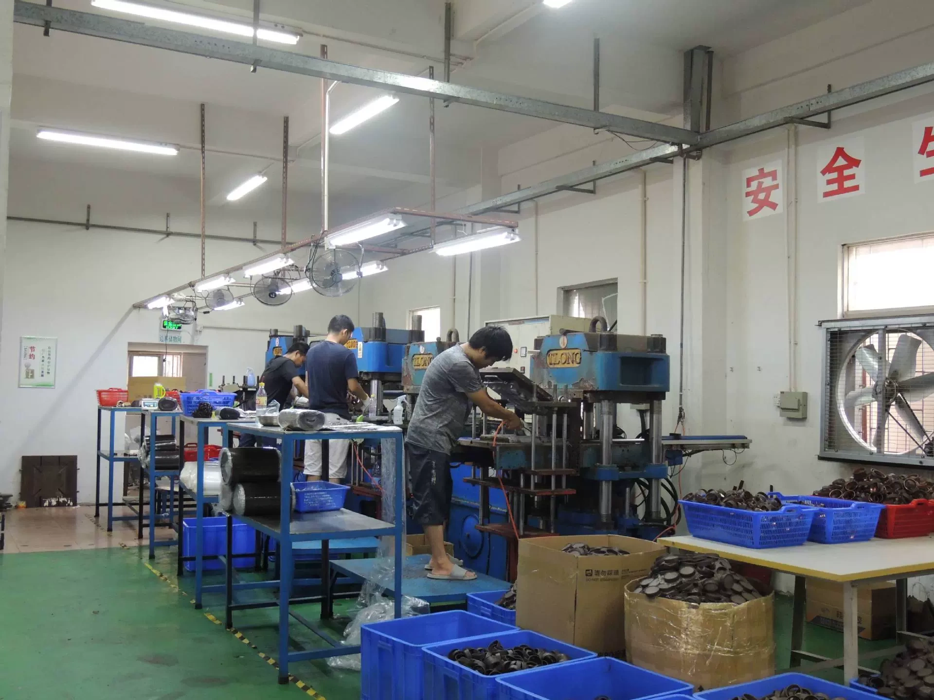 Thành phố Shenzhen, Thành phố Shenzhen
