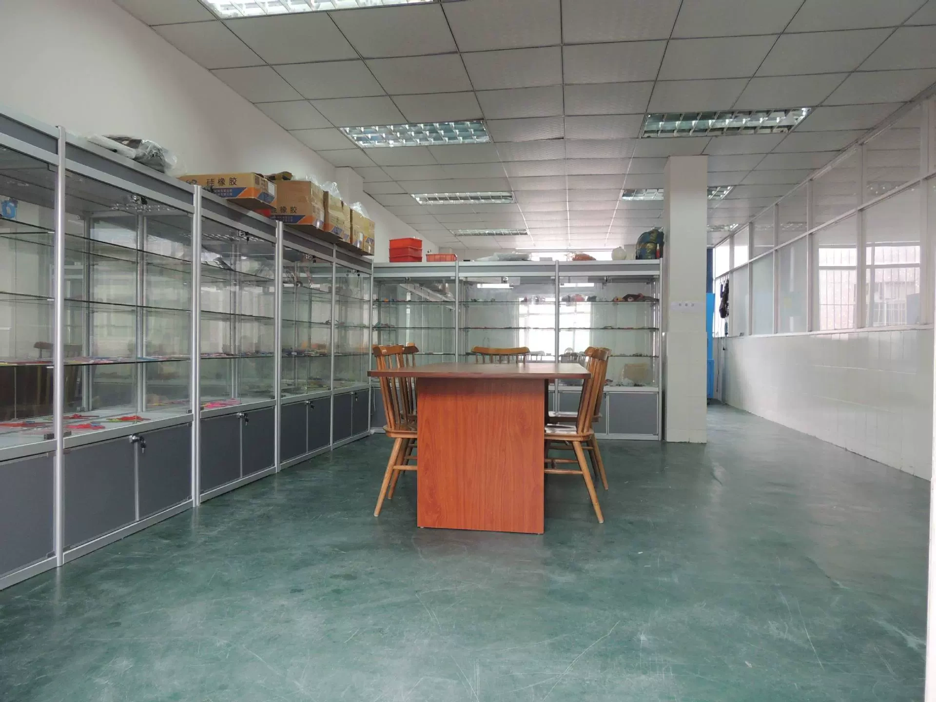 Thành phố Shenzhen, Thành phố Shenzhen