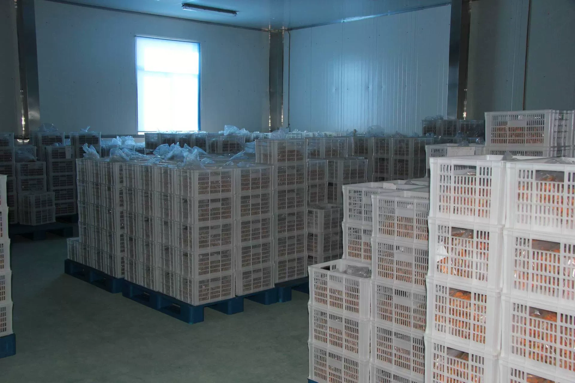 Smoky Vegetable Foods Ltd.