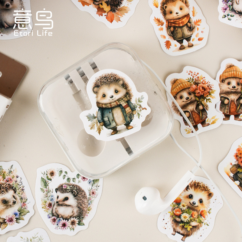 Nó là một chiếc hộp vân vân với những nhãn dán, hàng rào, những nhãn dán tranh hoạt hình dễ thương, 46 mục.