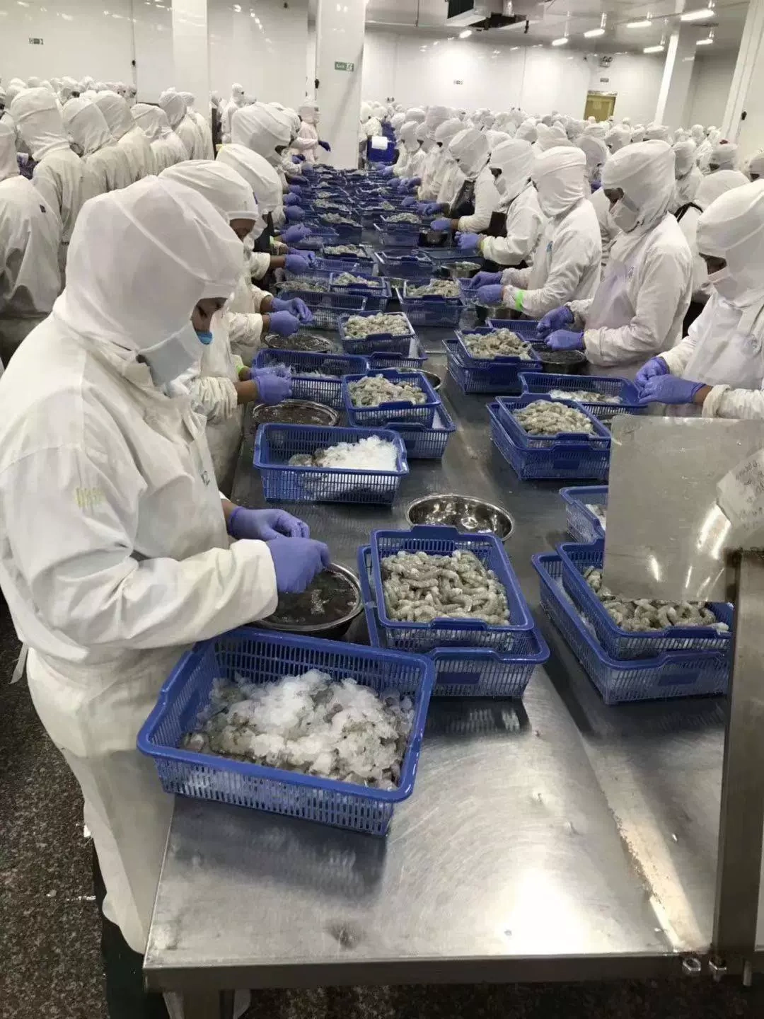 Công ty TNHH Thương mại Triển lãm Thành phố Zhui