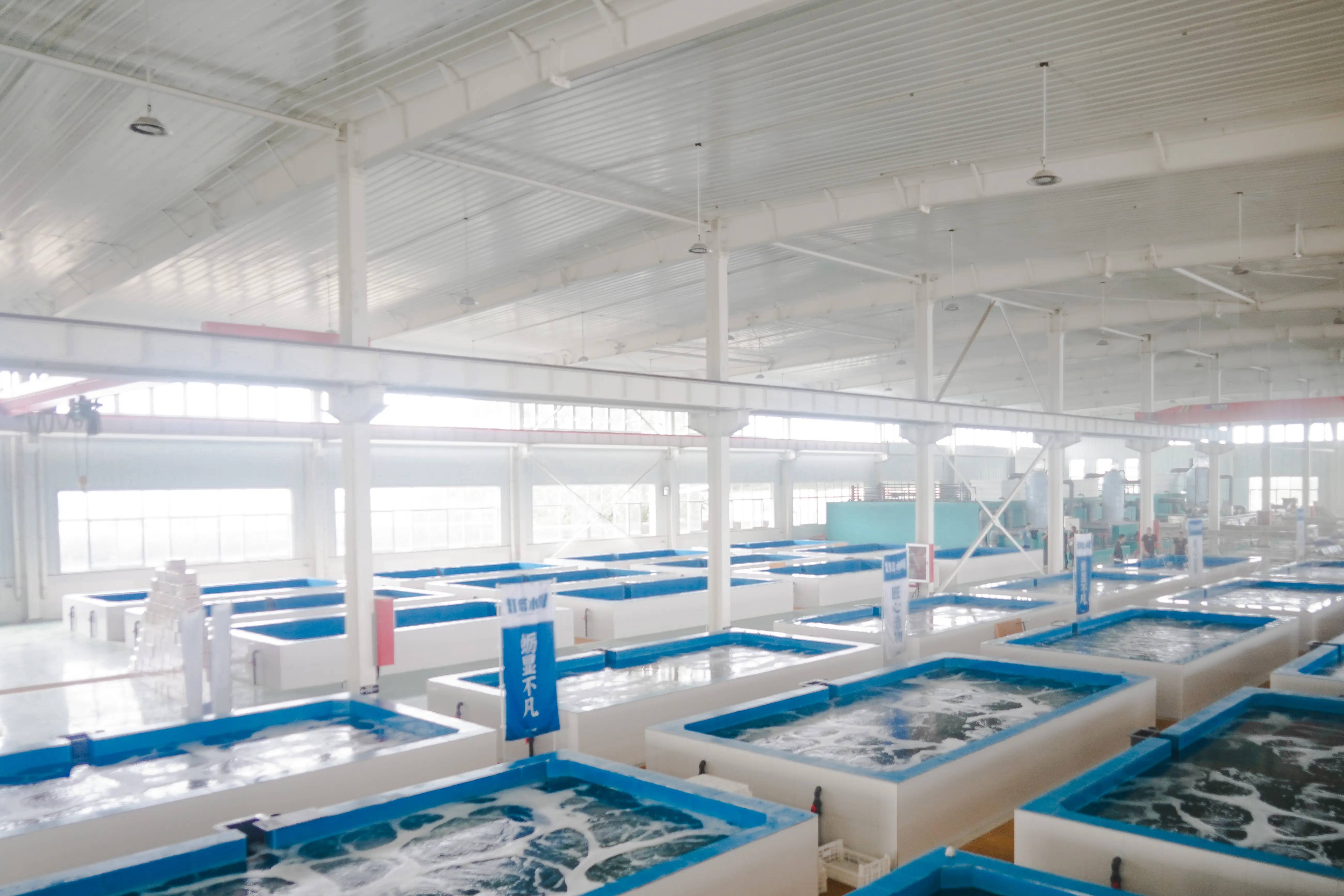 Công ty TNHH Công nghệ Hàng hải Sơn Đông Sứa Hải đăng