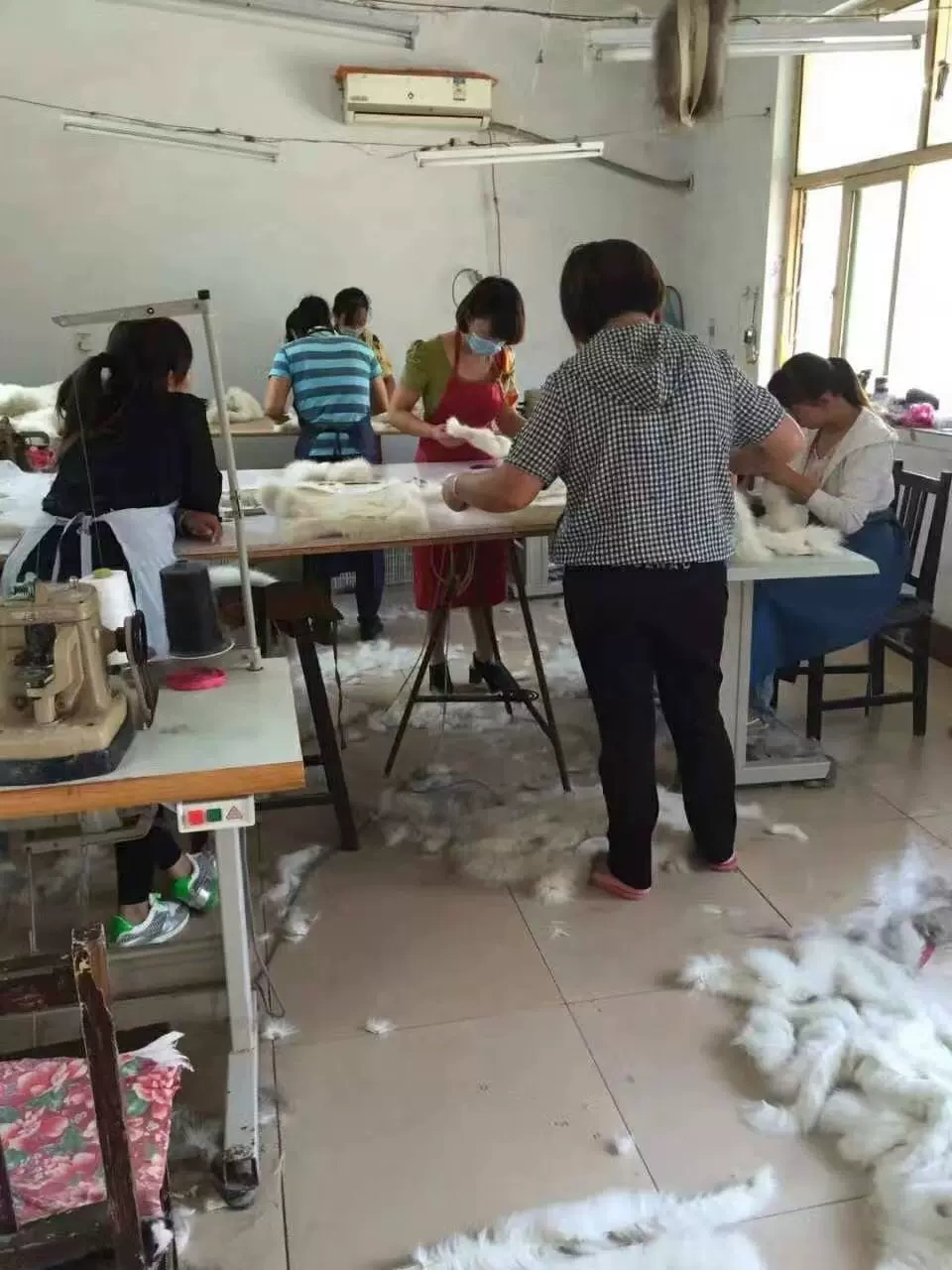 Công ty TNHH Da Zhouburg