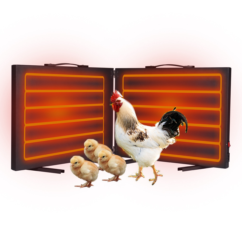 Cross-border new pets, heaters, chicken heaters, chickens, chickens.