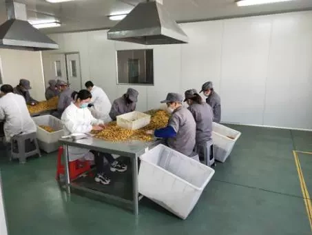 Công ty TNHH Công nghiệp Quảng Đông Xing Dynasty
