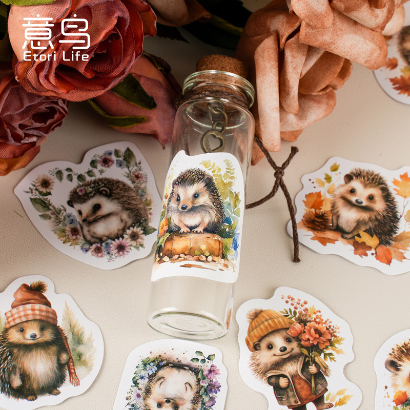 Nó là một chiếc hộp vân vân với những nhãn dán, hàng rào, những nhãn dán tranh hoạt hình dễ thương, 46 mục.