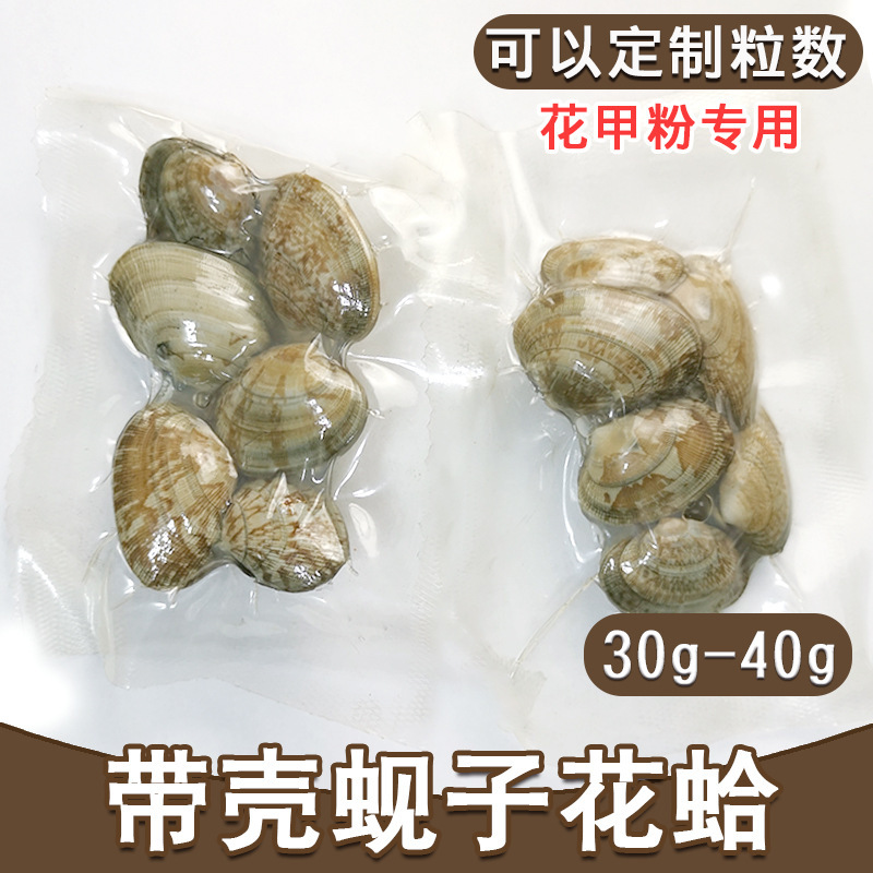 쉘 sauerkraut는 casseroles와 작은 불 냄비와 jade rose clams의 처리를위한 분말.