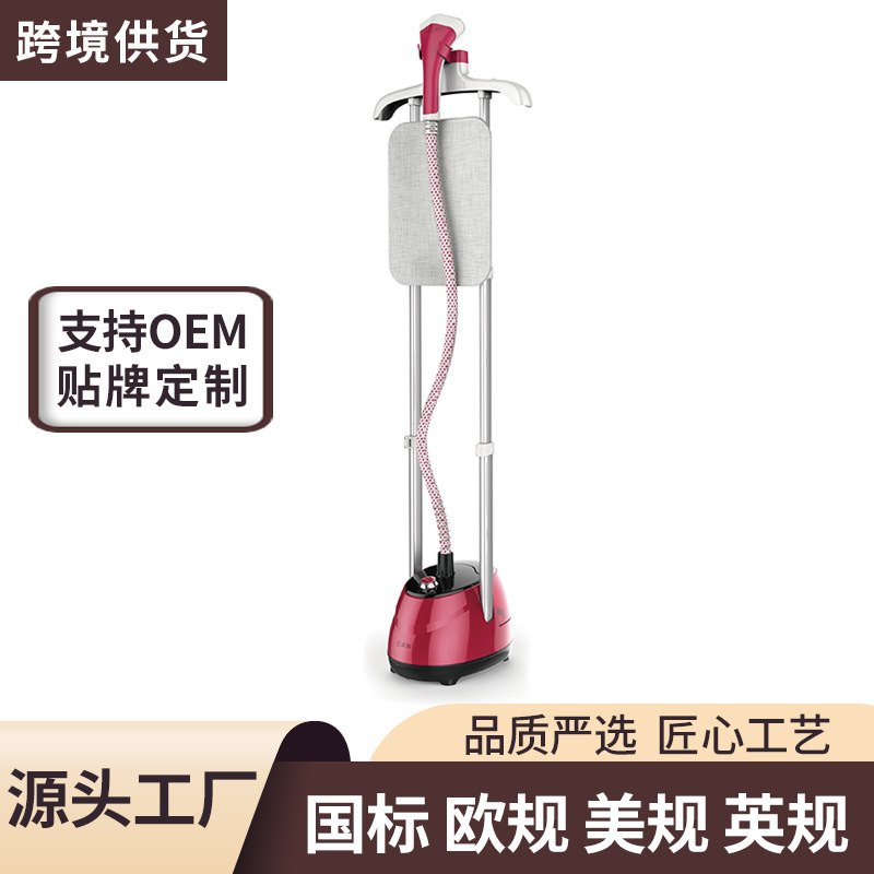 Hàng loạt các nhà máy hơi nước đứng-với kích thước nhà gấp đôi gari lớn nước ủi máy hơi nước cho tùy chỉnh ngay lập tức