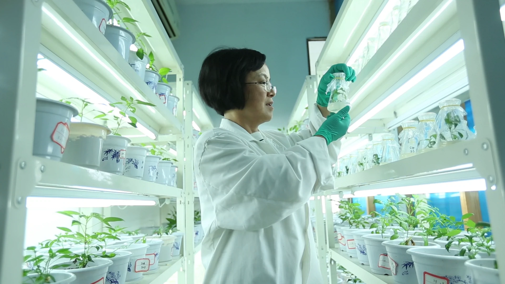 湖南湘研种业有限公司