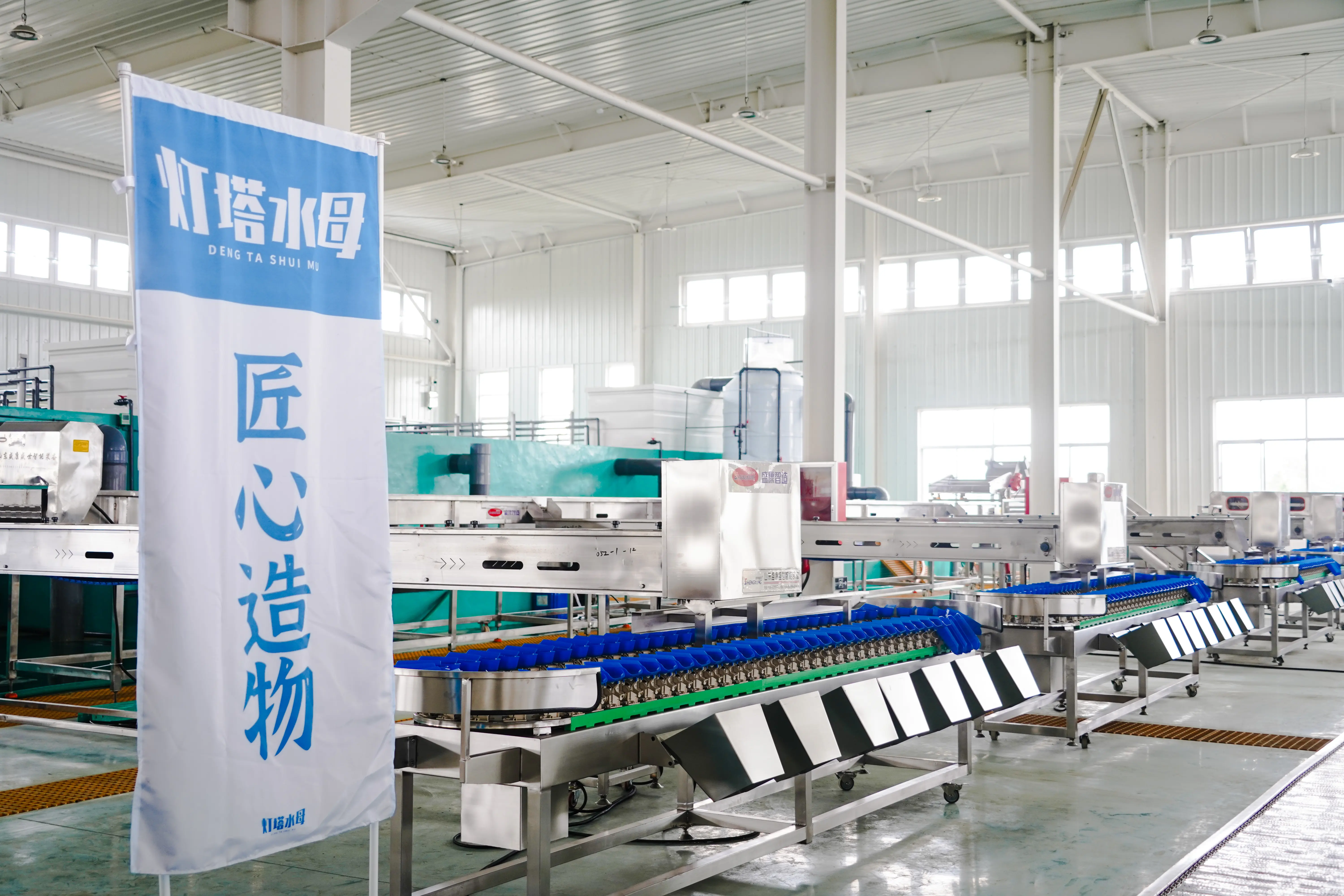 Công ty TNHH Công nghệ Hàng hải Sơn Đông Sứa Hải đăng