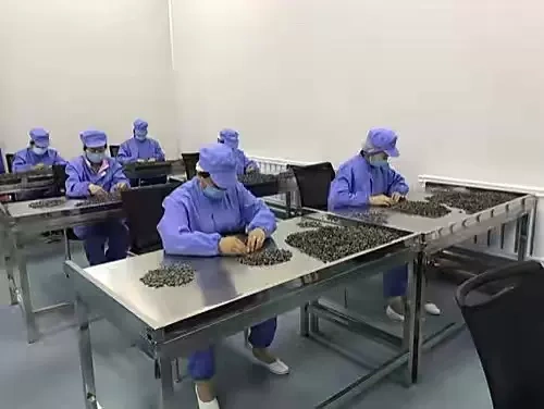 Công ty TNHH Công nghệ Nông nghiệp Jeining Grand