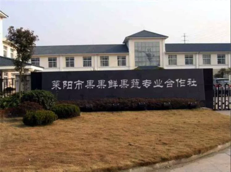 Leyang City Annual Fruit and Fruit Professional Co-operative