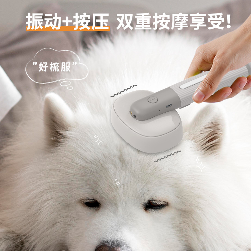 lược thú cưng, mèo, chó, i-creaser, và chải tóc, mát xa điện.