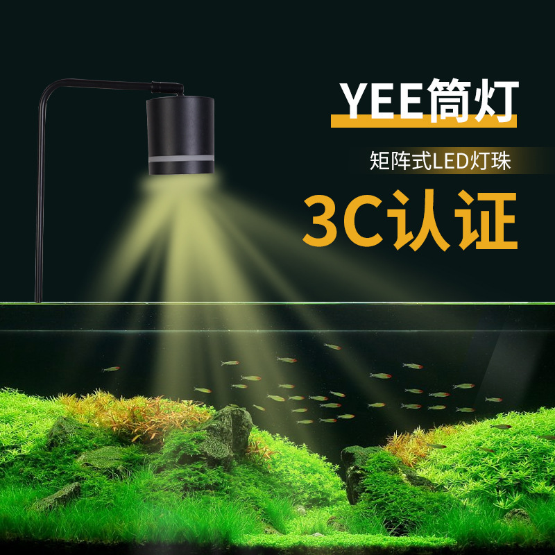 Fish-cylinders Nam Mỹ với ánh sáng không thấm nước.