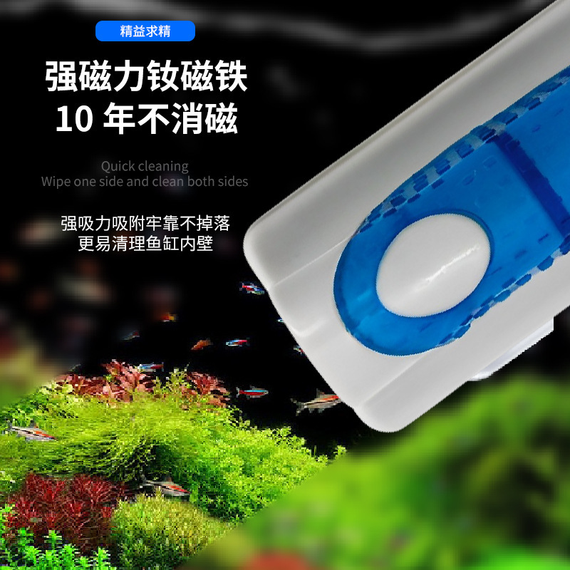 The fish tank washes the octopus tank, shaving the algae knife, cleaning the interior of the wall.