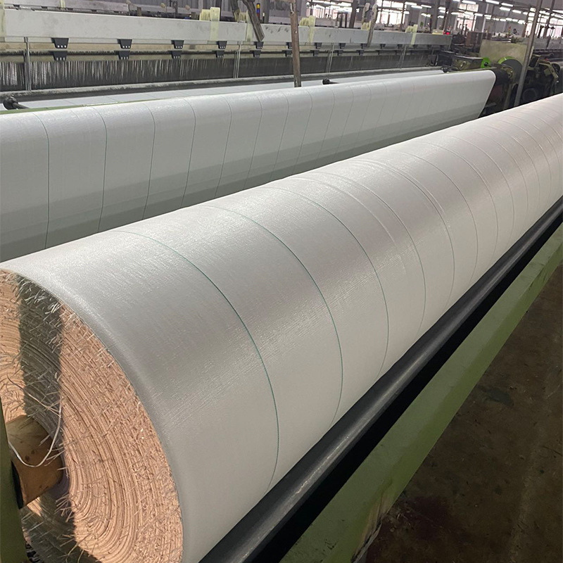 Những vườn cây ăn quả được bảo vệ chống lại sự ẩm ướt của cánh đồng cỏ khô