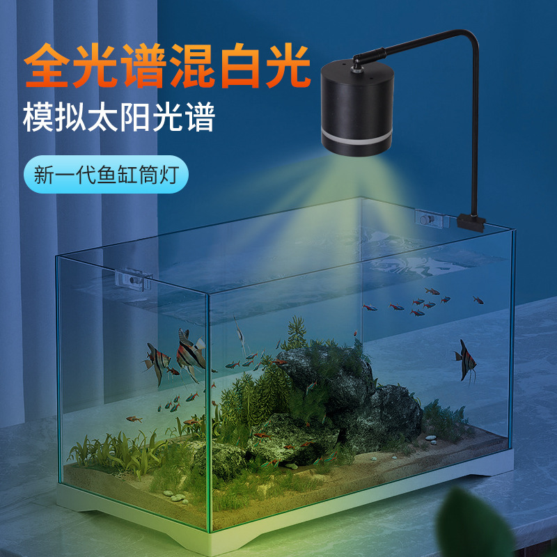 Fish-cylinders Nam Mỹ với ánh sáng không thấm nước.