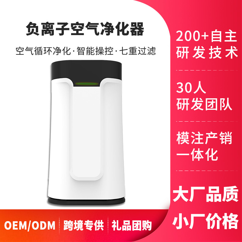 OEM domestic air cleaner smoke activated carbon cleaner, air cleaner manufacturer