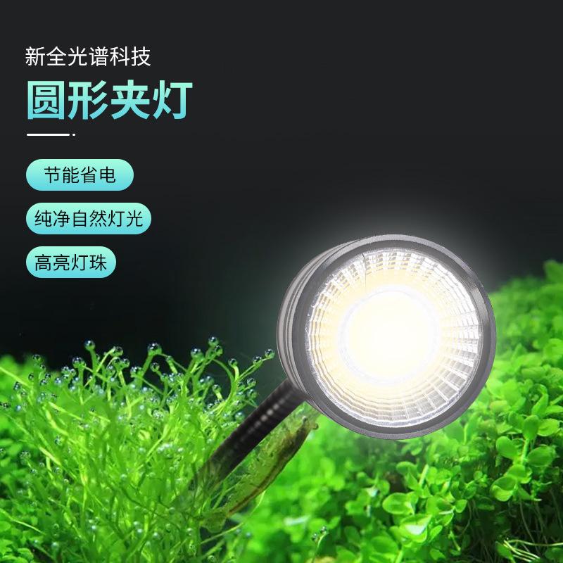 LED full spectroscopy fish tank with a waterproof light lamp, COB lens colored lamp, for the colored flashlights.
