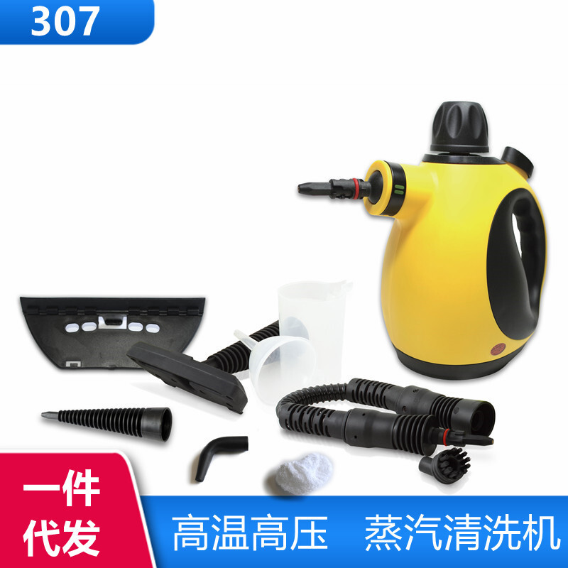蒸汽清洗機廚房油煙機清洗工具專業高溫高壓家用消毒槍跨境現貨