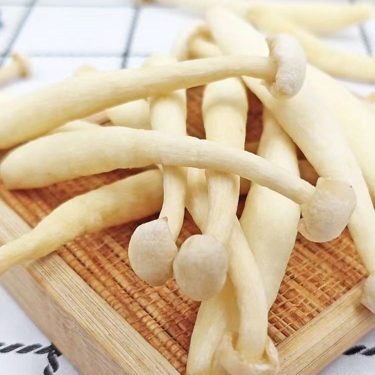 Creamed sea mushroom dried vegetables dry dehydrated and ready to eat.