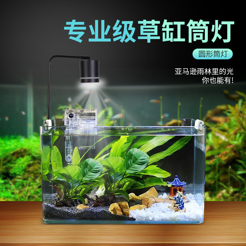 Fish-cylinders Nam Mỹ với ánh sáng không thấm nước.