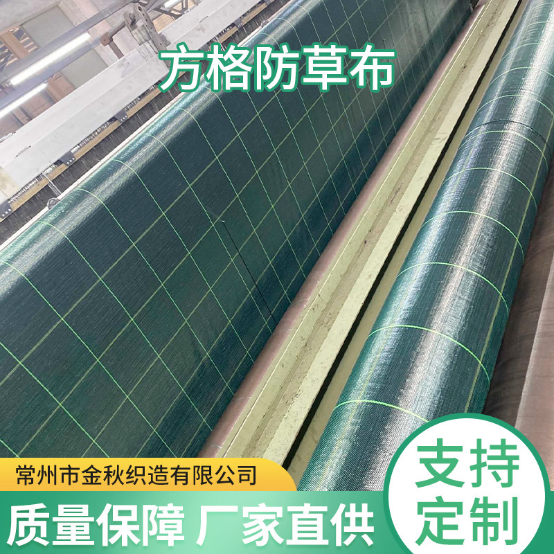 Những vườn cây ăn quả được bảo vệ chống lại sự ẩm ướt của cánh đồng cỏ khô