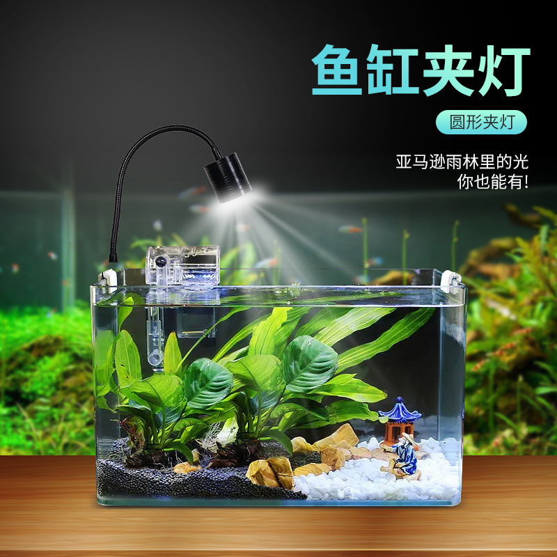 LED full spectroscopy fish tank with a waterproof light lamp, COB lens colored lamp, for the colored flashlights.