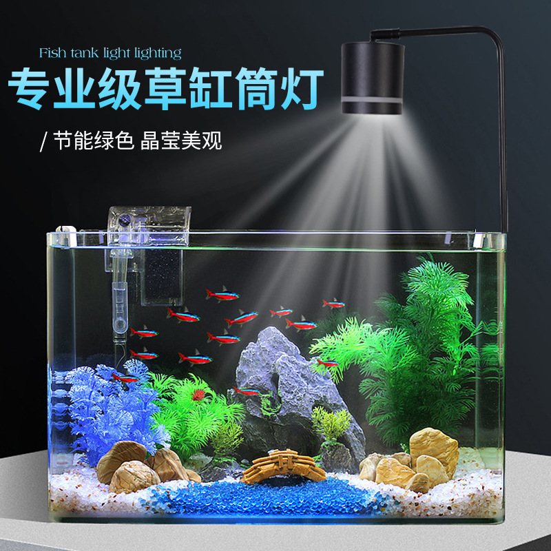 Fish-cylinders Nam Mỹ với ánh sáng không thấm nước.