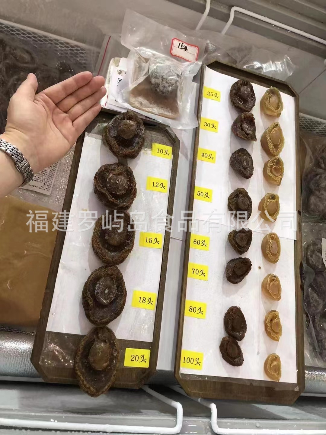 溏心干鲍加热即食溏心网纹鲍鱼捞饭酒店会所批发鲍汁熬制冷链袋装
