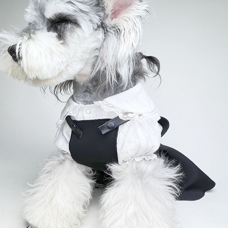 "Shot summer pet dress aired dog dress" "P's thin Teddy Fardover Shennery."