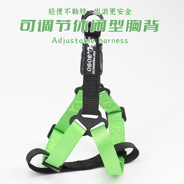 Một con thú nuôi với một cái vòng cổ kéo chó đi vòng quanh một sợi dây thừng chó.