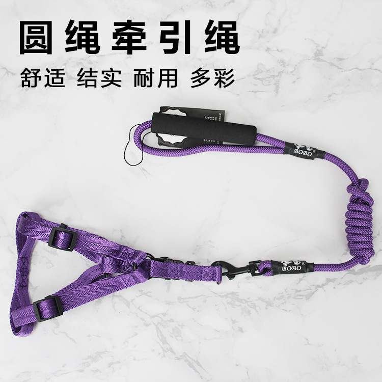 Hàng con chó-đến-một-lăn-từ-từ-cho-đến-đầu.