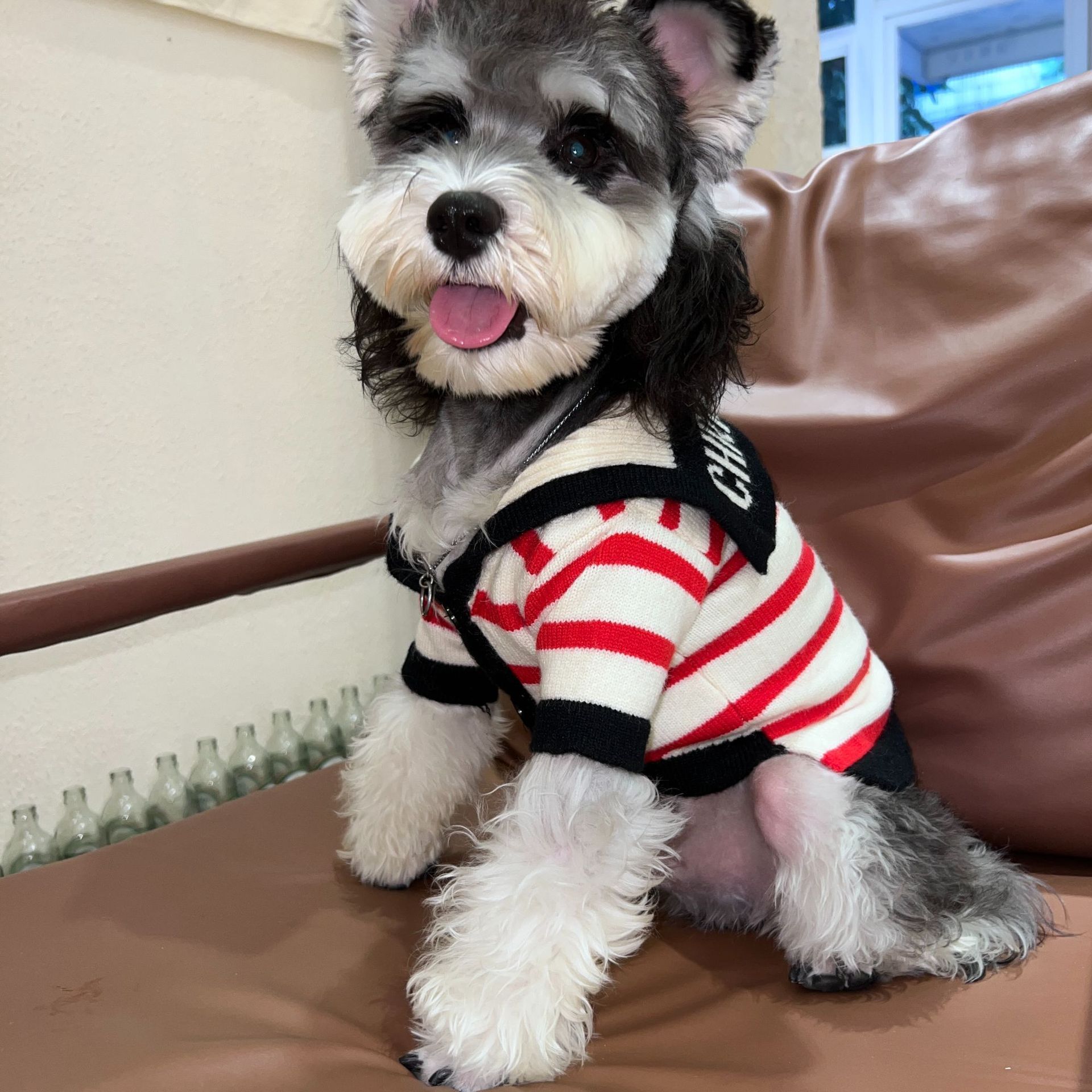 The new Autumn Dog Weaseling sweaters and warm pets.