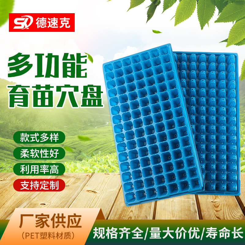 Những bó hoa săn bắt màu xanh lam 105, những bó hoa rau quả guacamole mạnh mẽ và bền bỉ trong vườn.