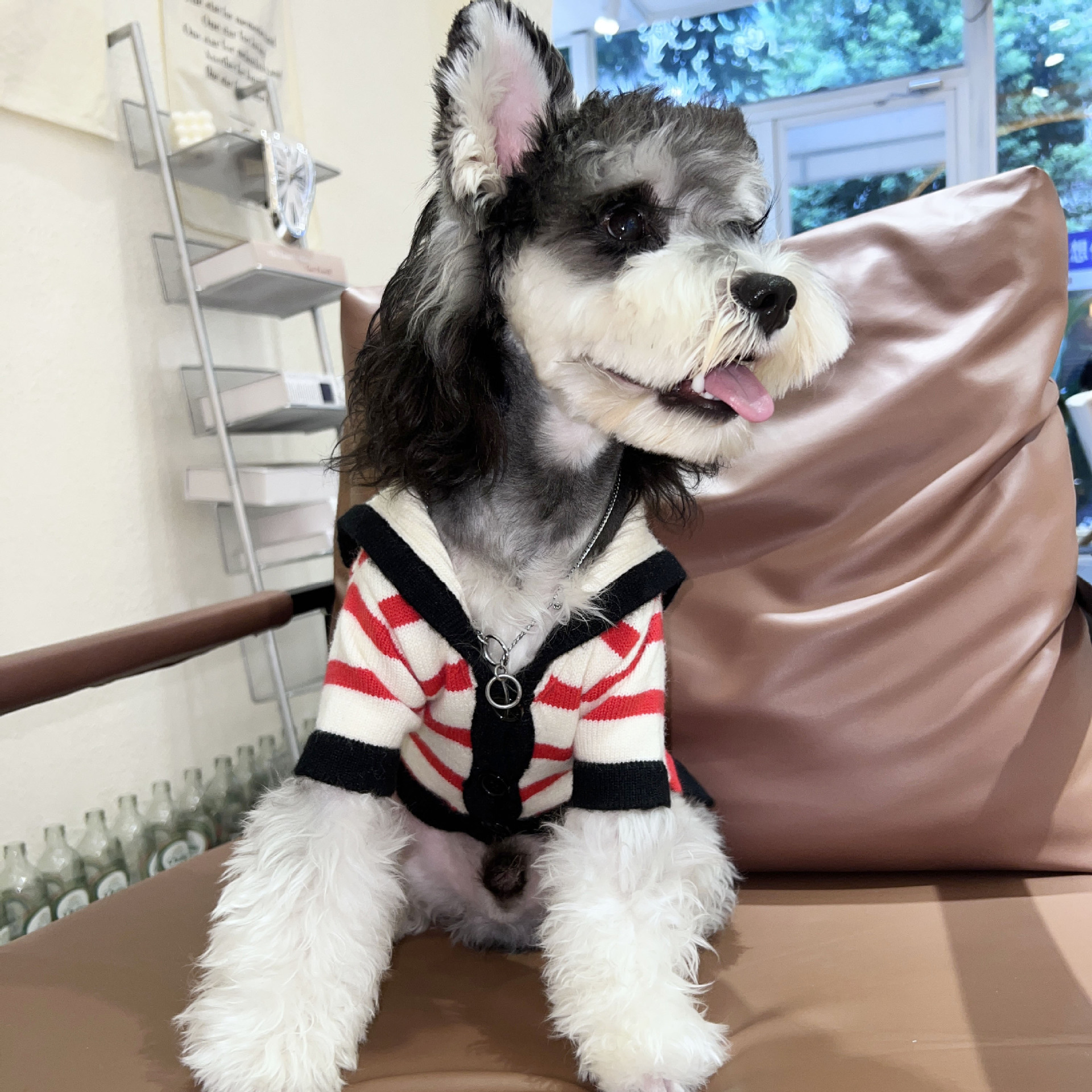 The new Autumn Dog Weaseling sweaters and warm pets.