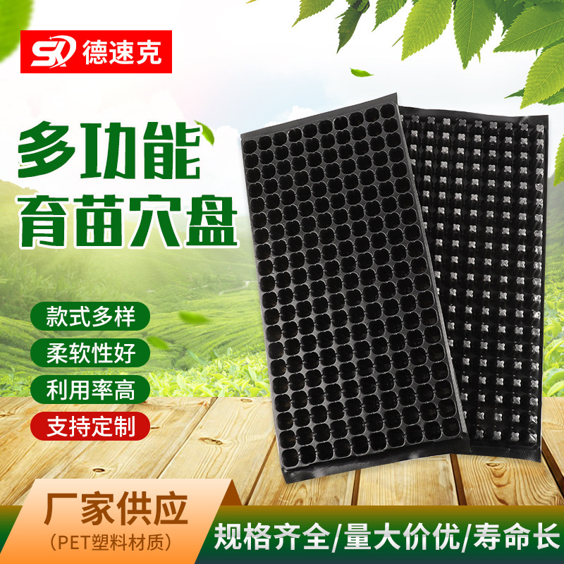 Một cây tầm thường dày, nhiều thực vật và thịt đa dinh dưỡng trồng sinh trùng sinh học để làm sâu thêm 200 lỗ đẻ non