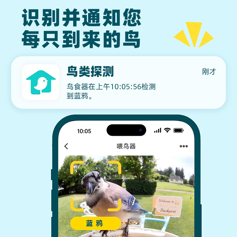 亚马逊户外喂鸟器手机看鸟intelligent bird feeder with camera