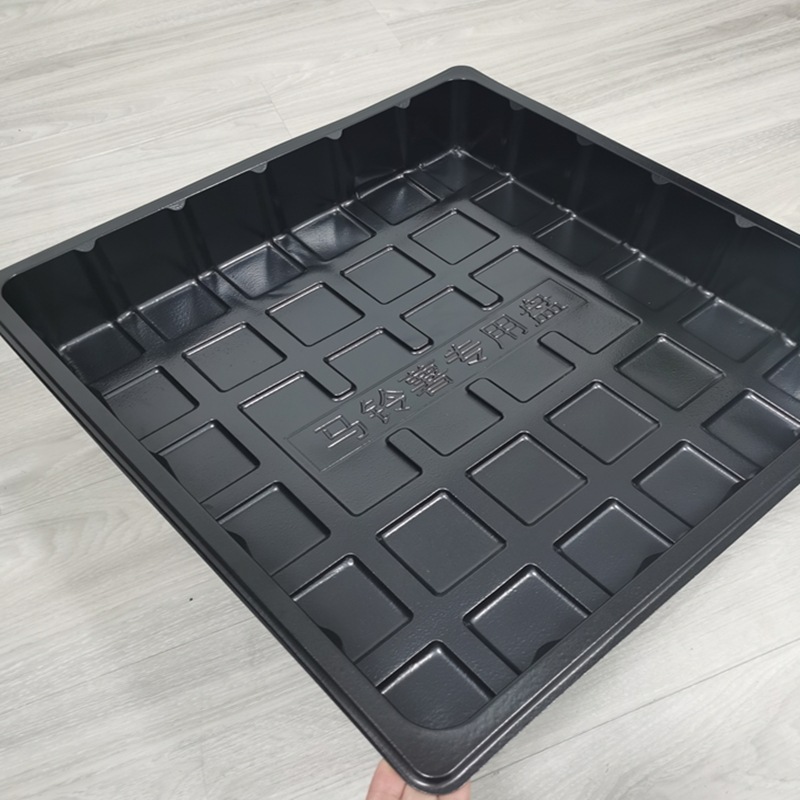 Những khay hạt giống được trồng trong khu vực rộng lớn với những hình vuông bằng nhựa PT đen