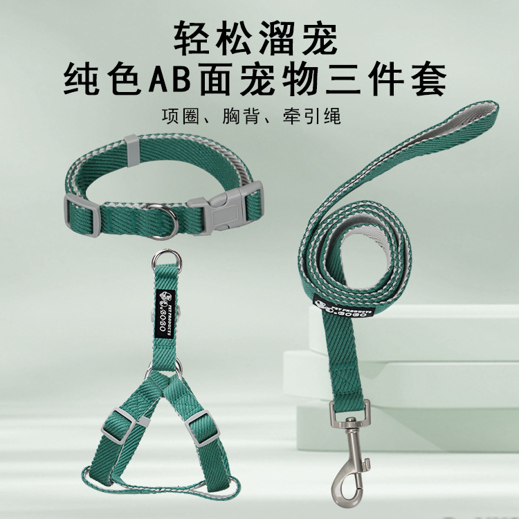 Một con thú nuôi kéo cổ chó với một cái áo ngực trên ngực để nó không đi lại được.