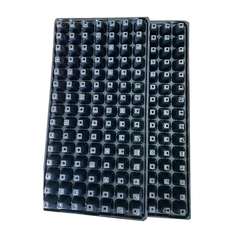 105 pyro-creas, gia đình horticate gwago-veating, kỹ sư nhà trẻ bằng nhựa.