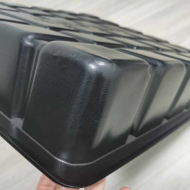 Những khay hạt giống được trồng trong khu vực rộng lớn với những hình vuông bằng nhựa PT đen