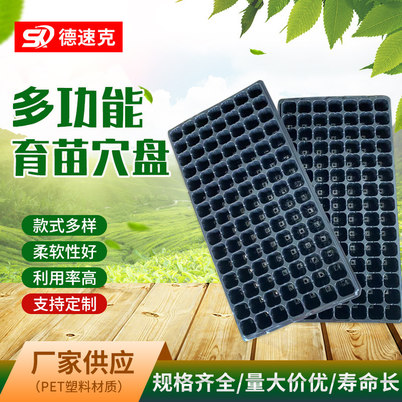 105 pyro-creas, gia đình horticate gwago-veating, kỹ sư nhà trẻ bằng nhựa.